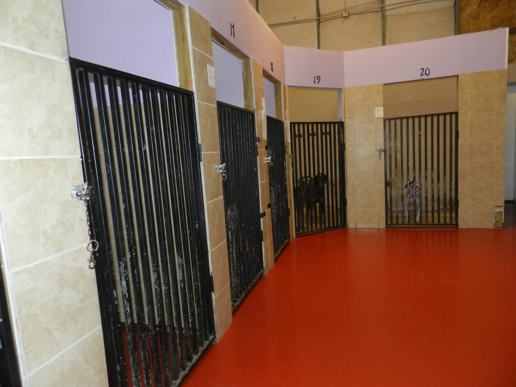 A view of some of our kennels.