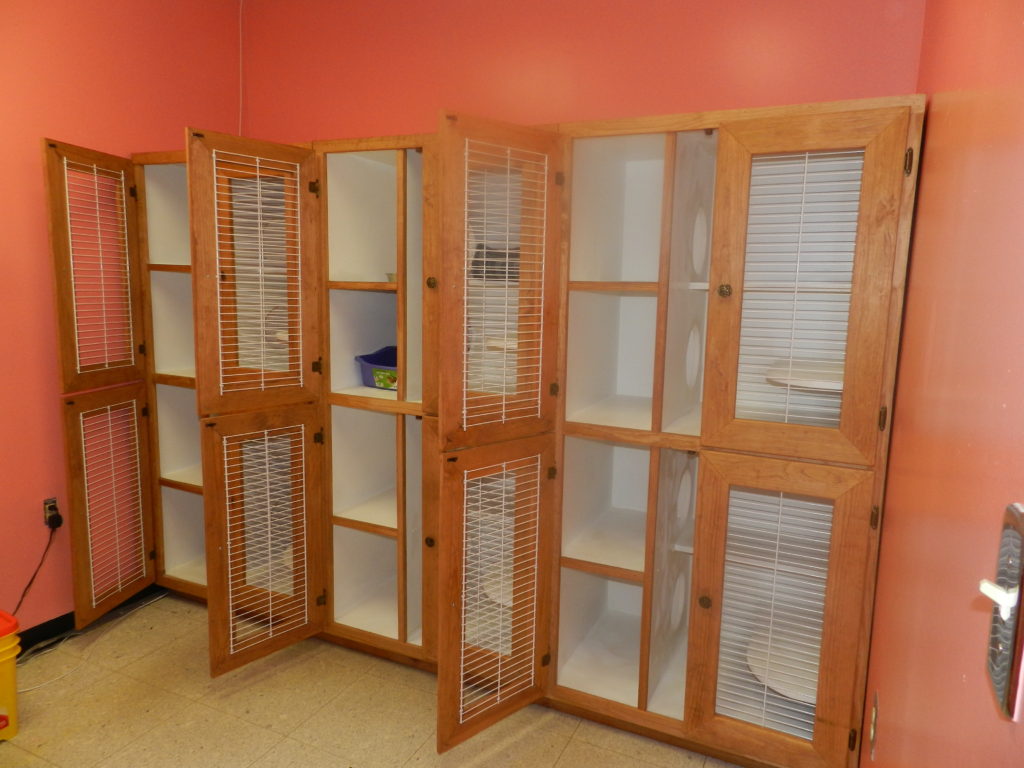 Another view of our cattery. 
